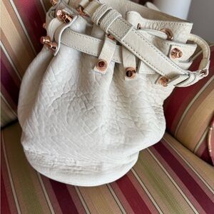 Alexander Wang Cream Hobo Bag with Gold Accents